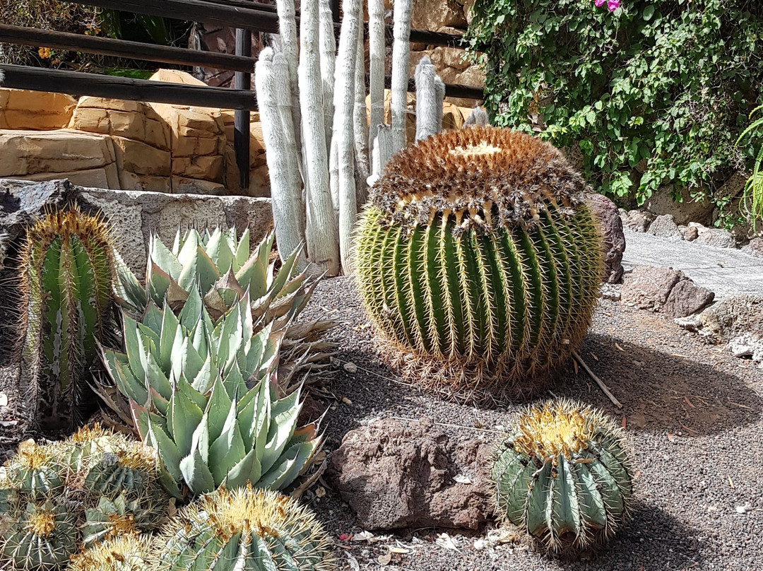 Park Las Aquilas Jungle Park-阿罗纳必去景点