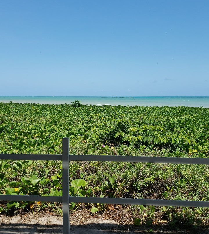 Toque Beach景点图片