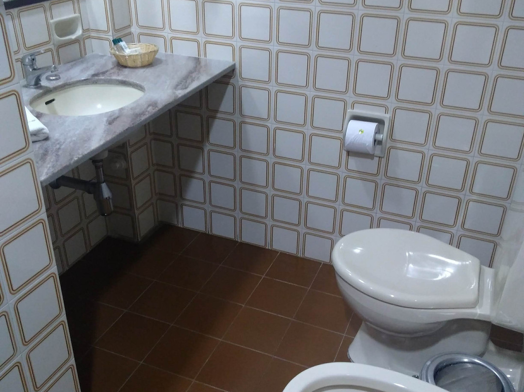 Jandaia Turismo Hotel主图