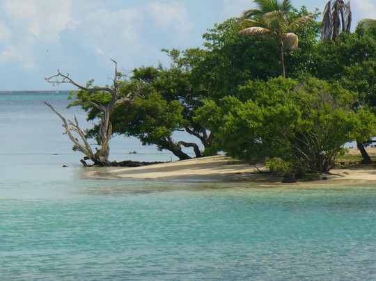 Splash Sports Catamaran Cruises-斯卡伯勒必去景点