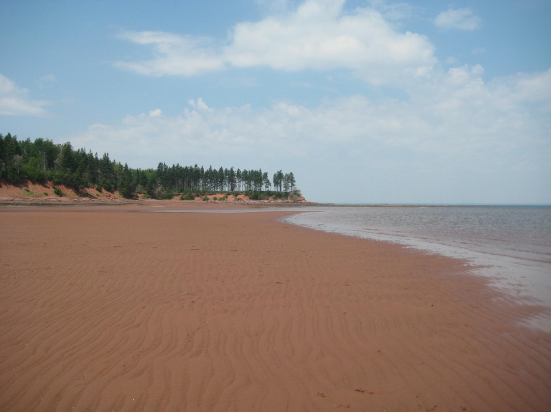 Amherst Shore Provincial Park景点图片