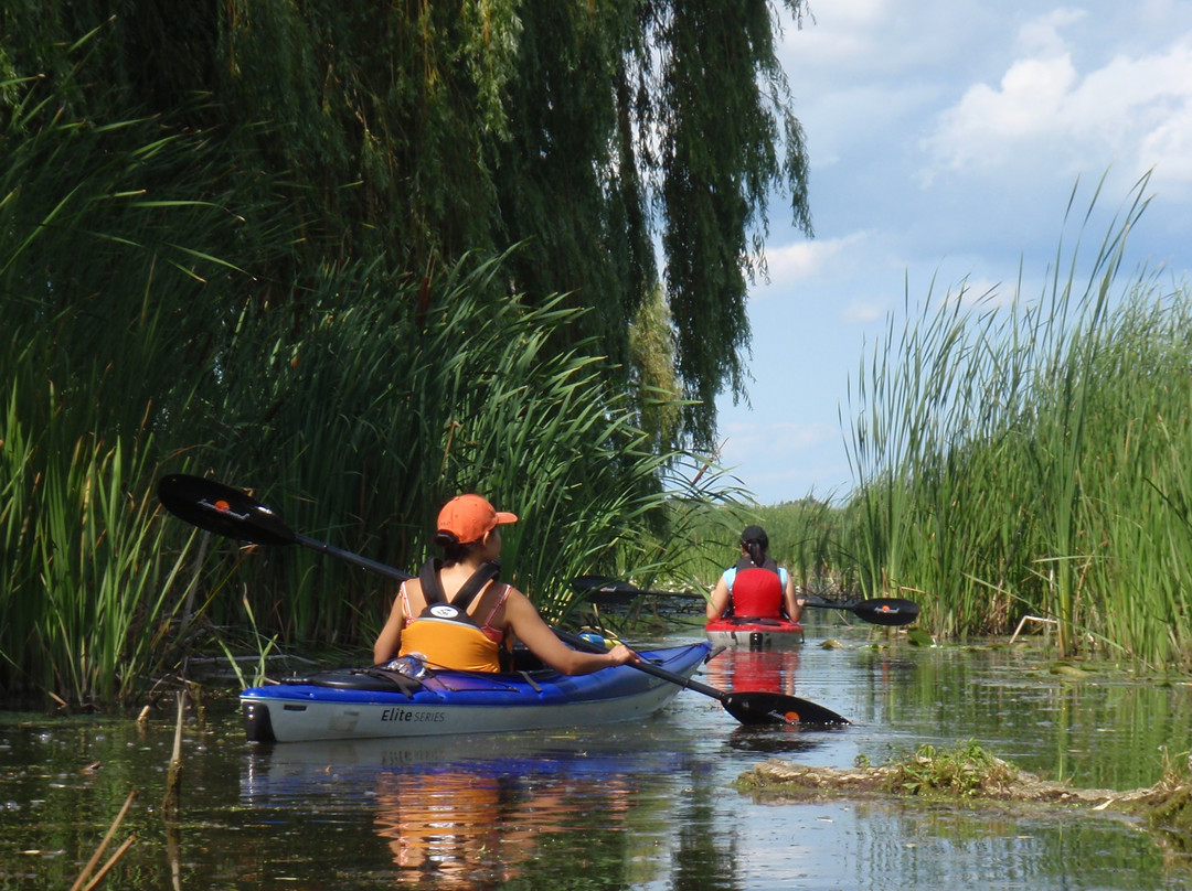 Grand River Kayak