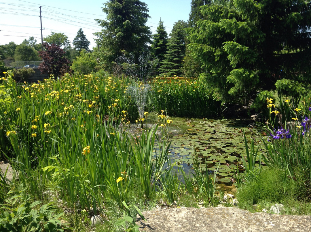 Arva旅游景点-Tin Cup Driving Range & Mini Putt