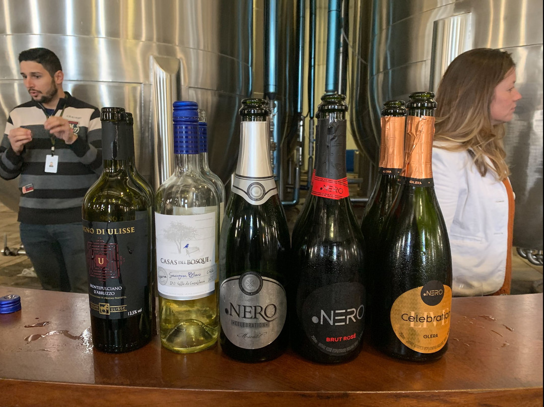 Domno Importadora Winery景点图片