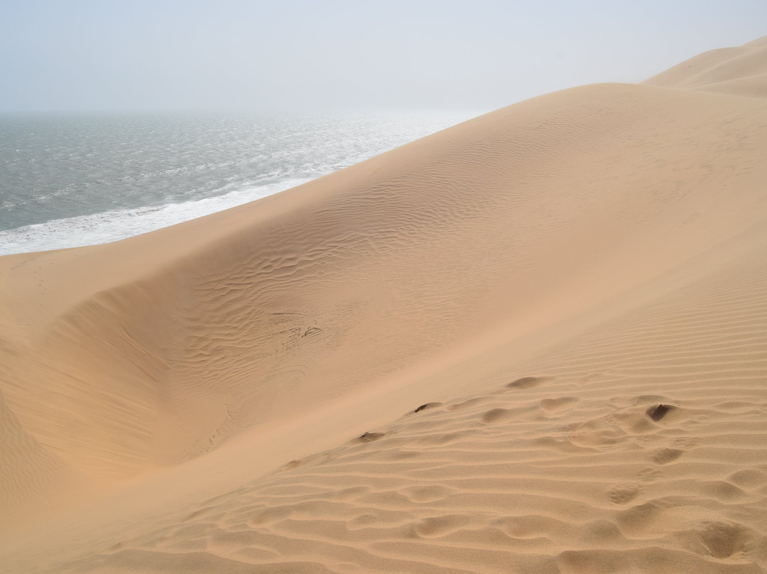 Mola Mola Safaris-华维斯湾必去景点