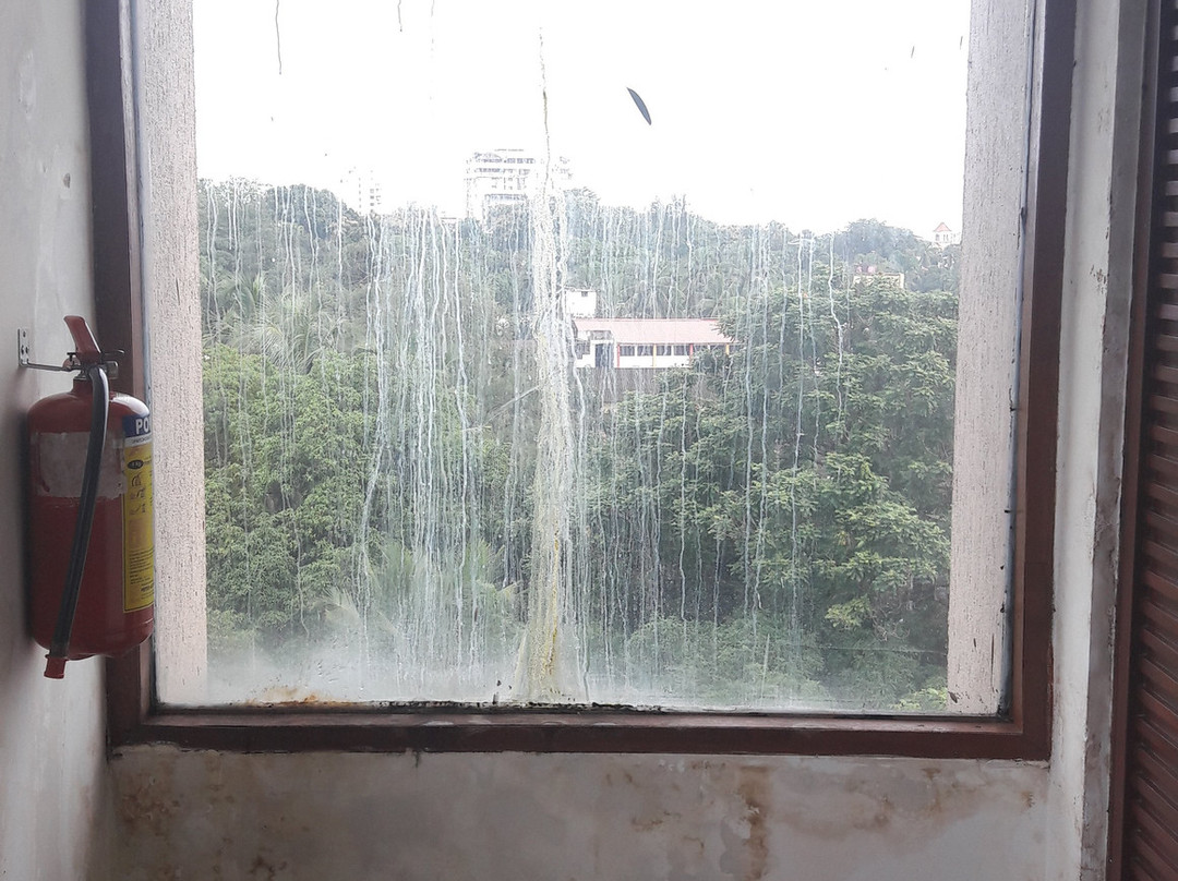 Goldfinch Hotel Mangalore主图