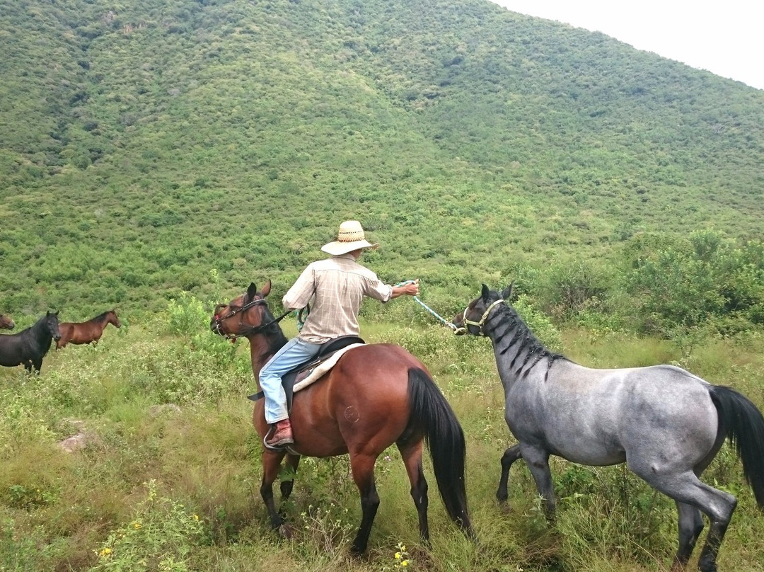 Rancho San Francisco