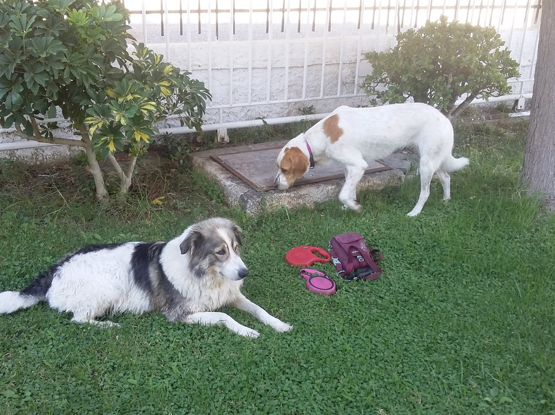 Philoxenia Apartments主图