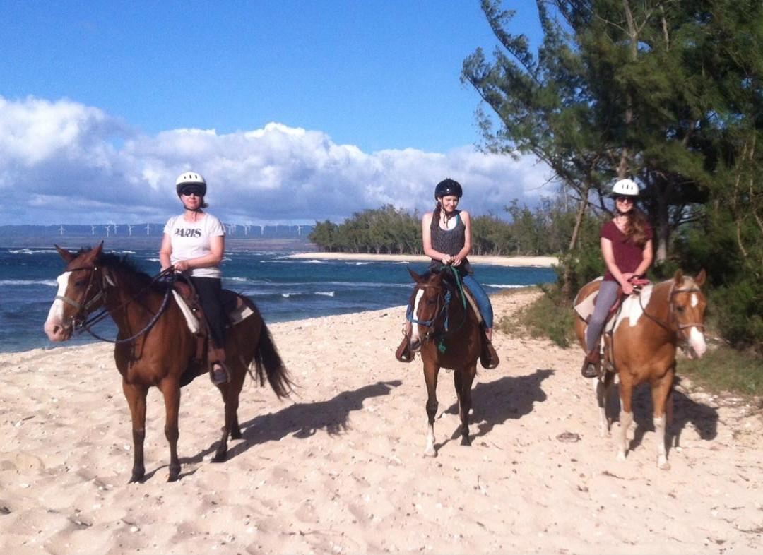 Oahu Horseback Rides-瓦亚禄必去景点
