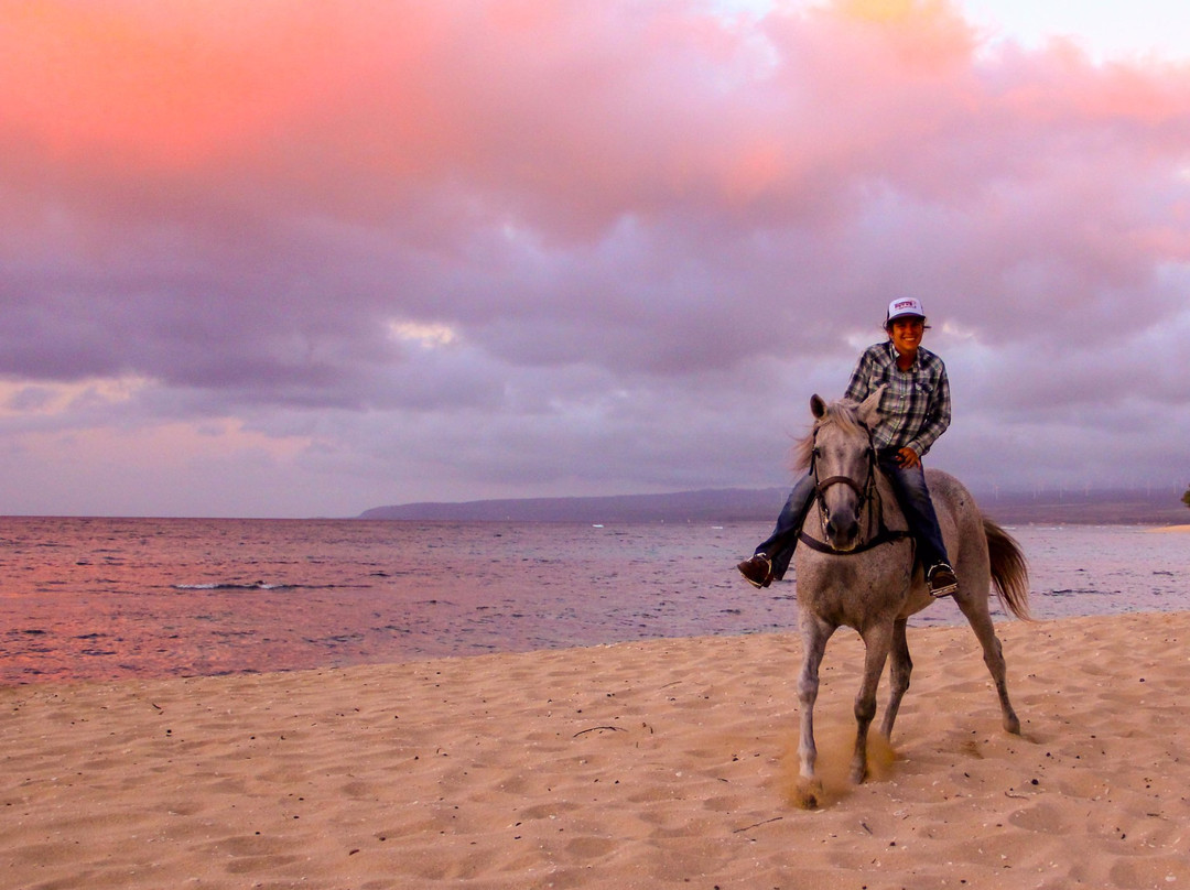 Hawaii Polo Club-瓦亚禄必去景点
