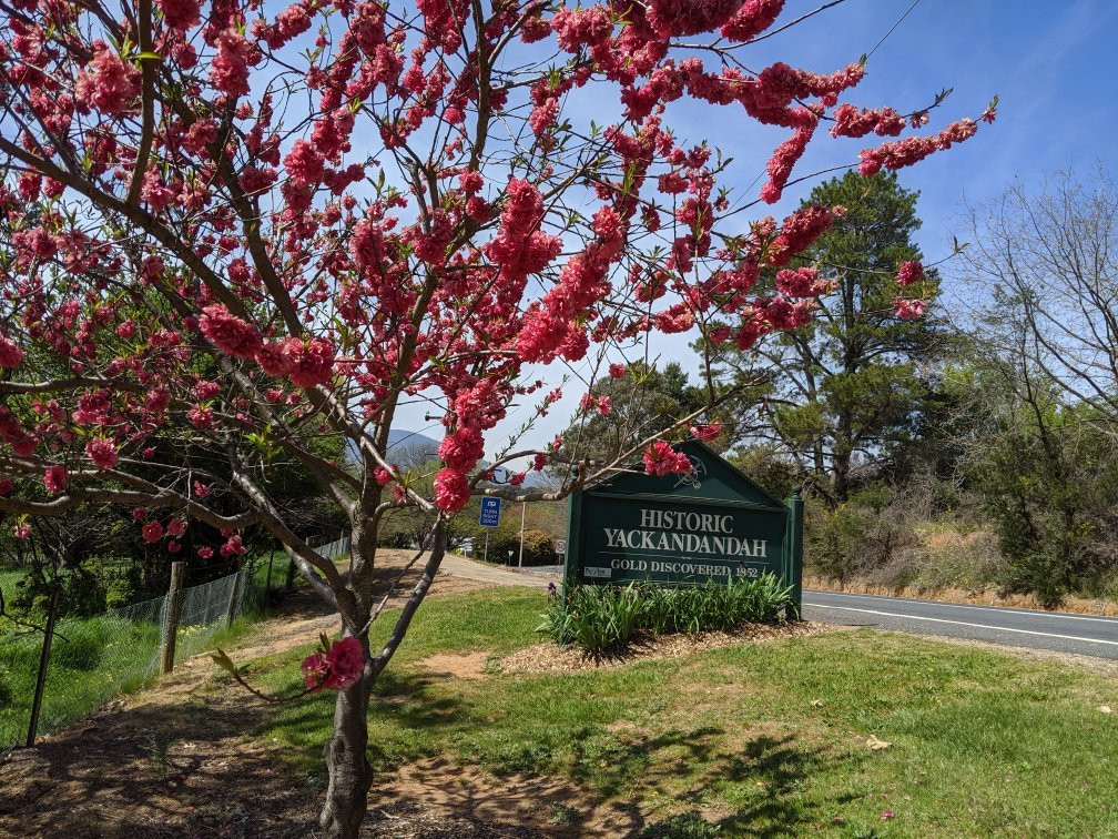 Yackandandah Museum景点图片