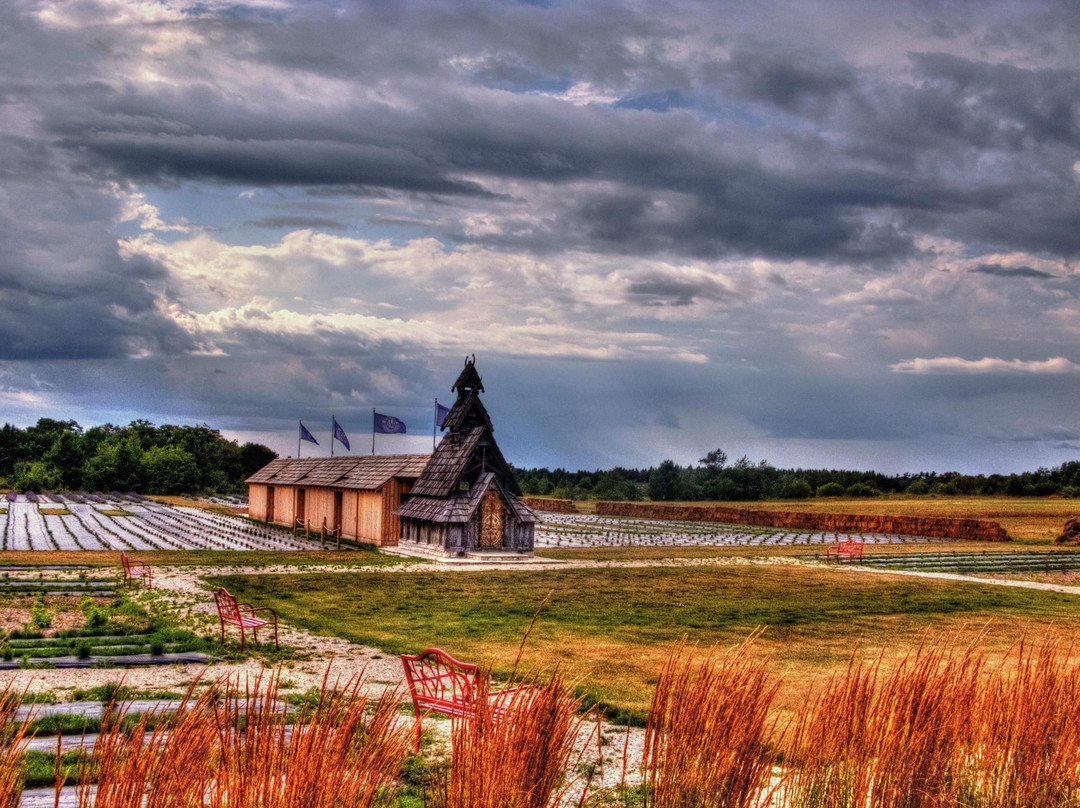 Ephraim旅游景点-Island Lavender Farm Market