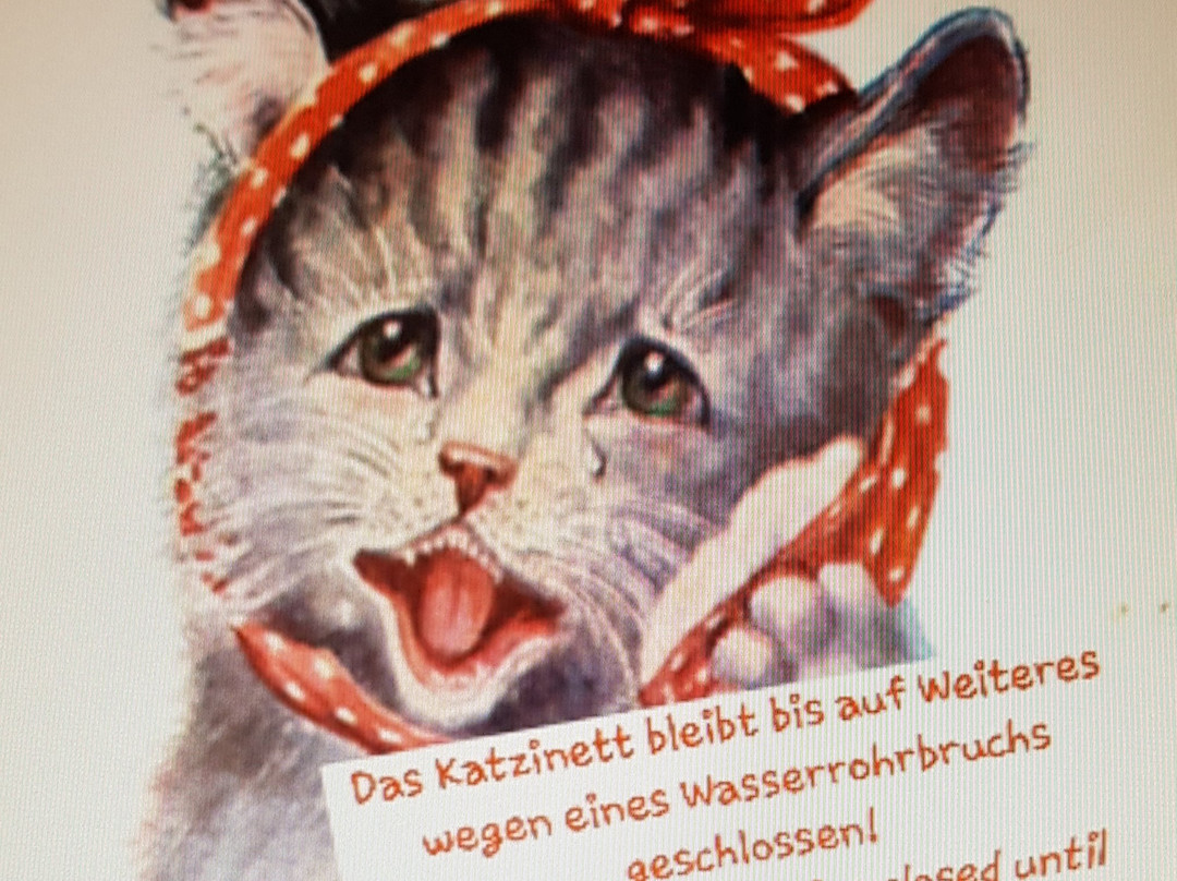 Katzinett - Katzenmuseum Ludwigshafen - Cat Museum景点图片