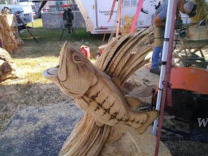 State Fair Of Virginia