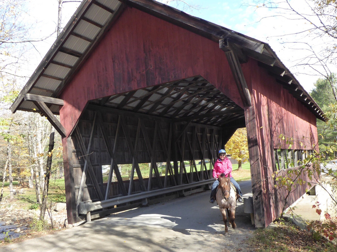 Topnotch Stables-斯托必去景点