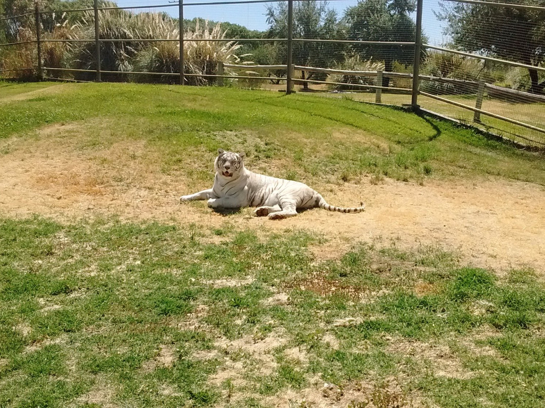 General Roca旅游景点-Bubalco