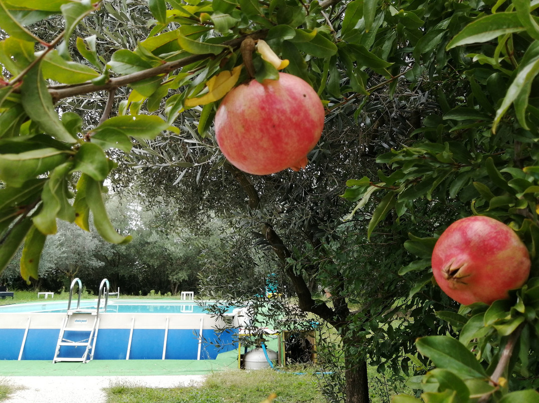 B&B San Giorgio Lazise主图