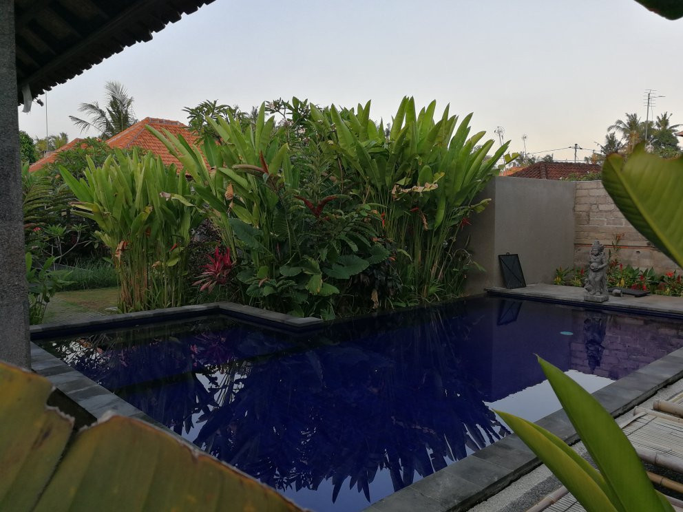 Candana Bali homestay主图