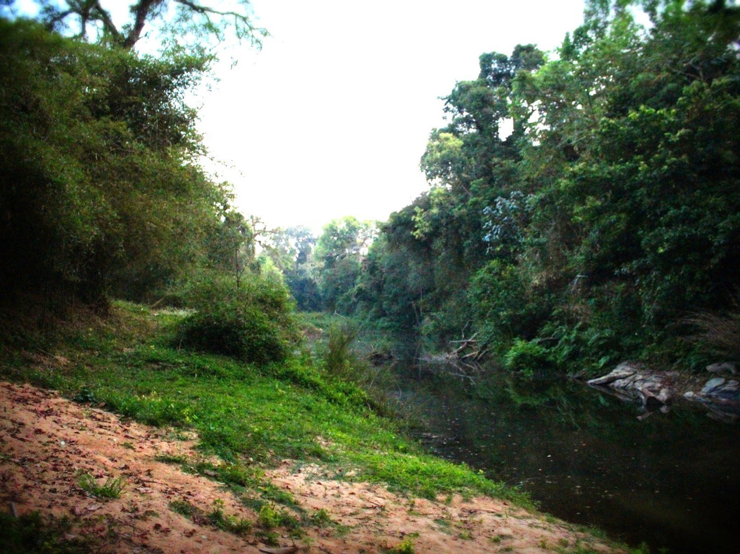 The Creek Coorg主图