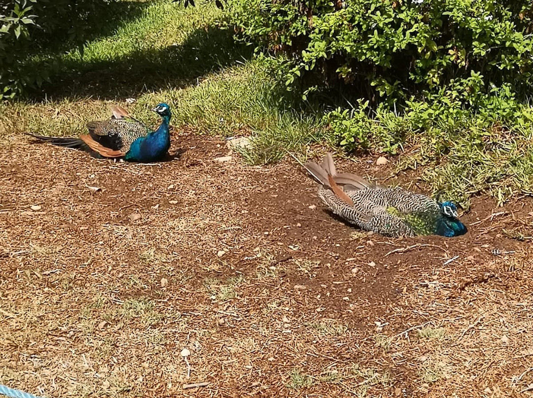 Agadir Birds Valley-Toundoute必去景点
