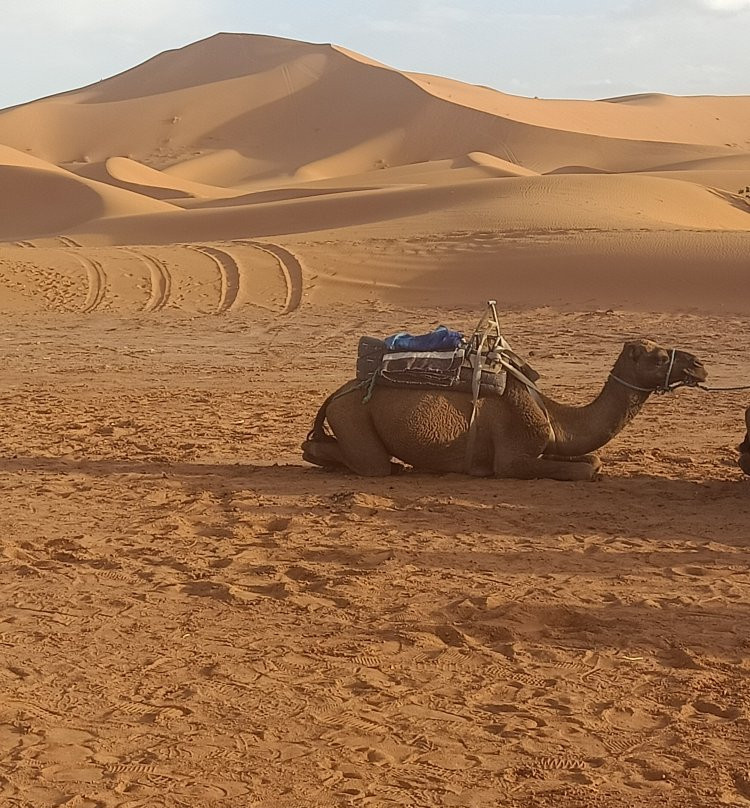 Excellent Tours-瓦尔扎扎特必去景点