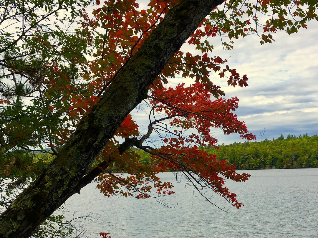 White Lake State Park景点图片