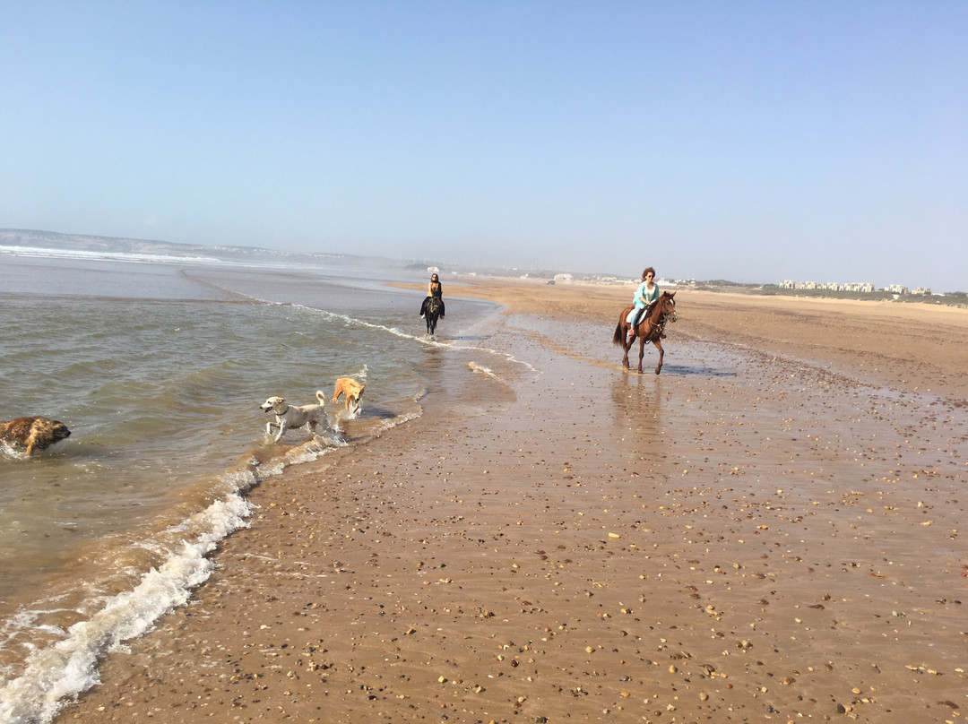 Maroc a Cheval-Sidi Kaouki必去景点