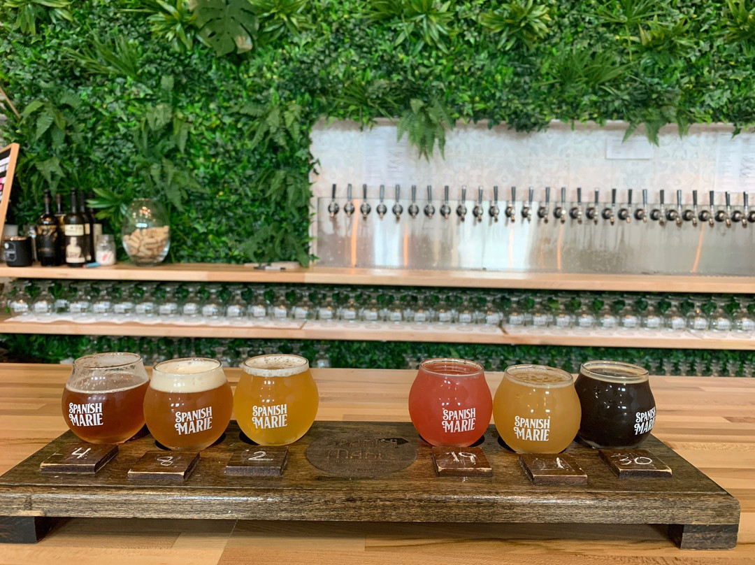 Spanish Marie Brewery-迈阿密必去景点