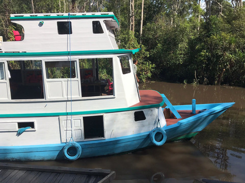 Wildlife Dream Tour-Pangkalan Bun必去景点