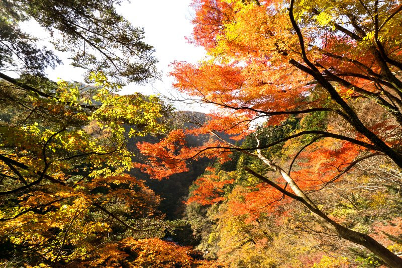 Okutama Mukashimichi-奥多摩町必去景点
