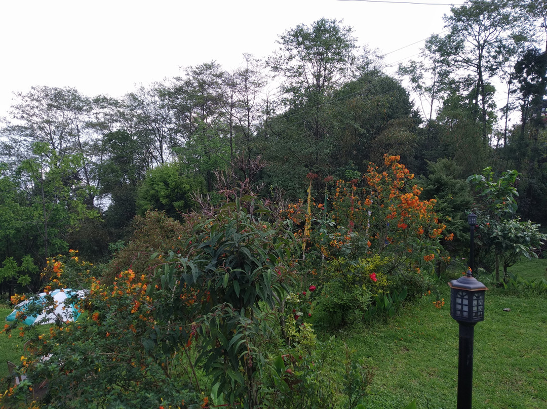 Green Leaf Resort主图