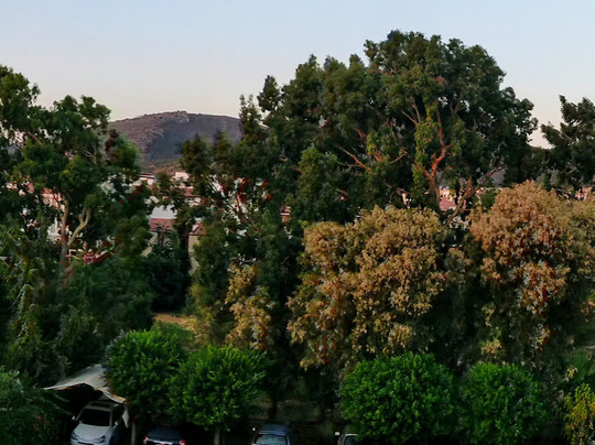 Hotel Mare Datca-Datca必去景点