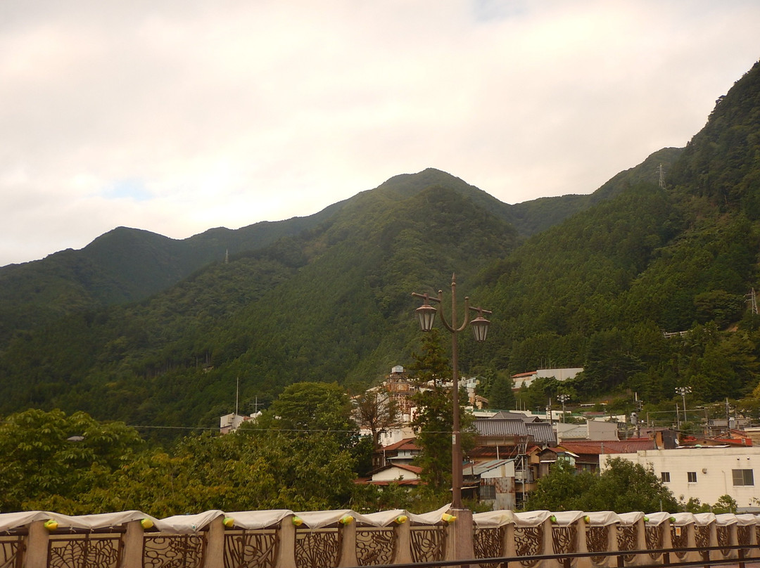 Hachinoki