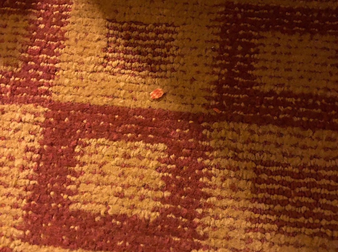 Comfort Inn & Suites Donna Near I-2主图