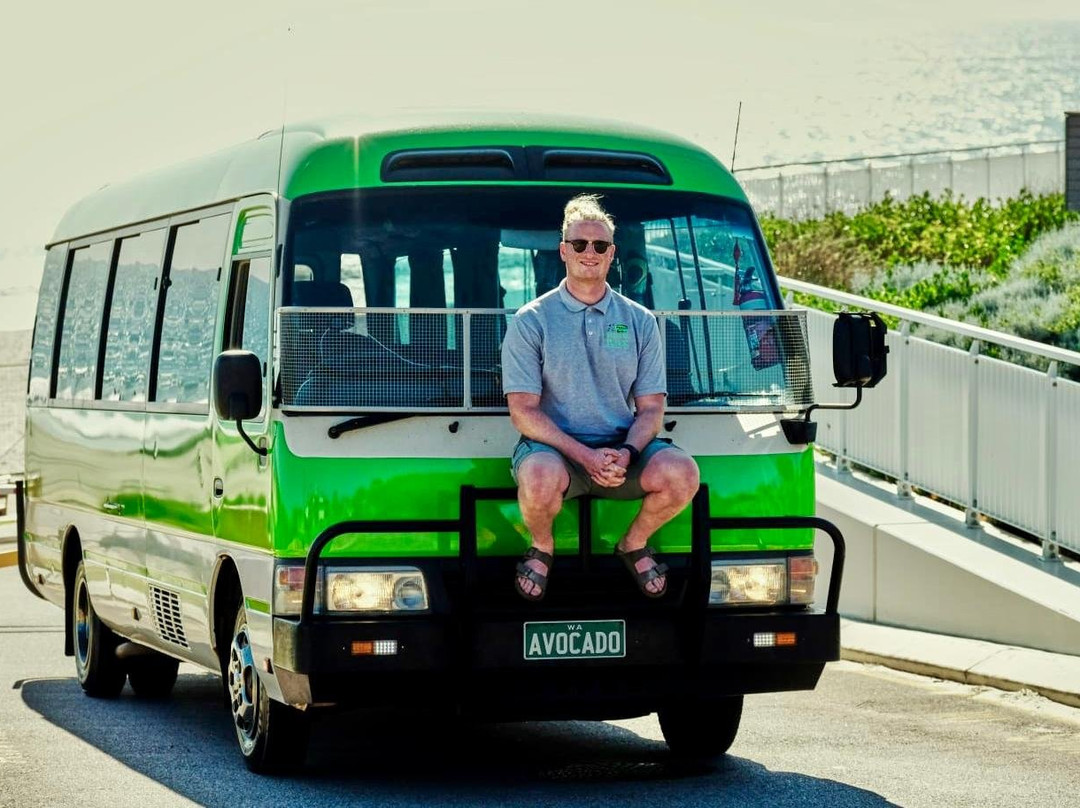 The Avocado Bus - Bus and Driver Service!景点图片