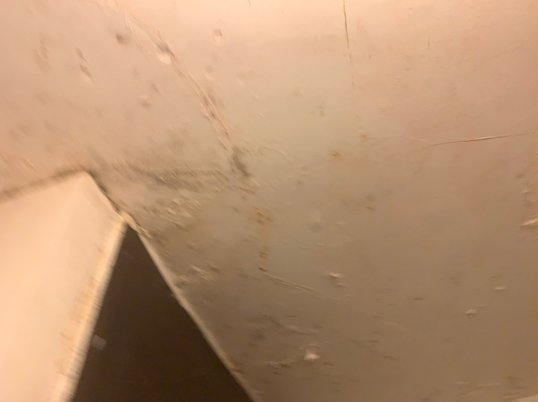 Inkas Machupicchu Inn主图