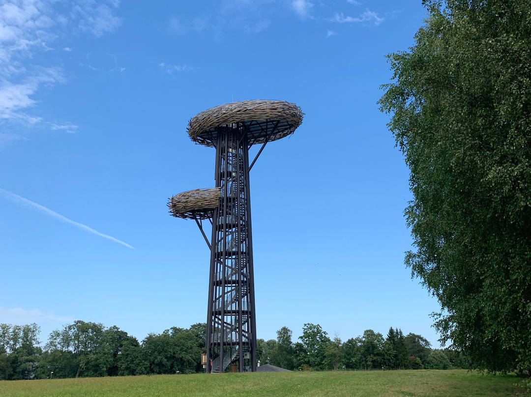 The Pesapuu Watchtower-Tindi必去景点