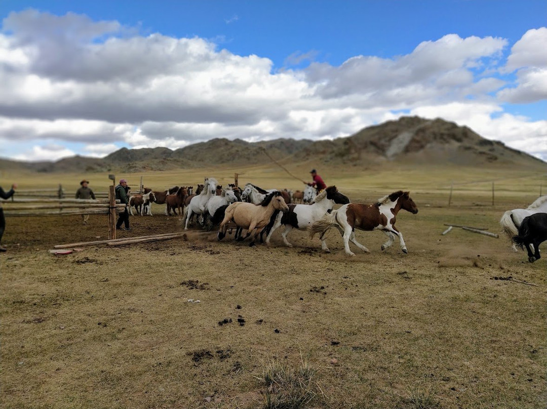 Horse Trails Mongolia - Day Treks-宗莫德必去景点