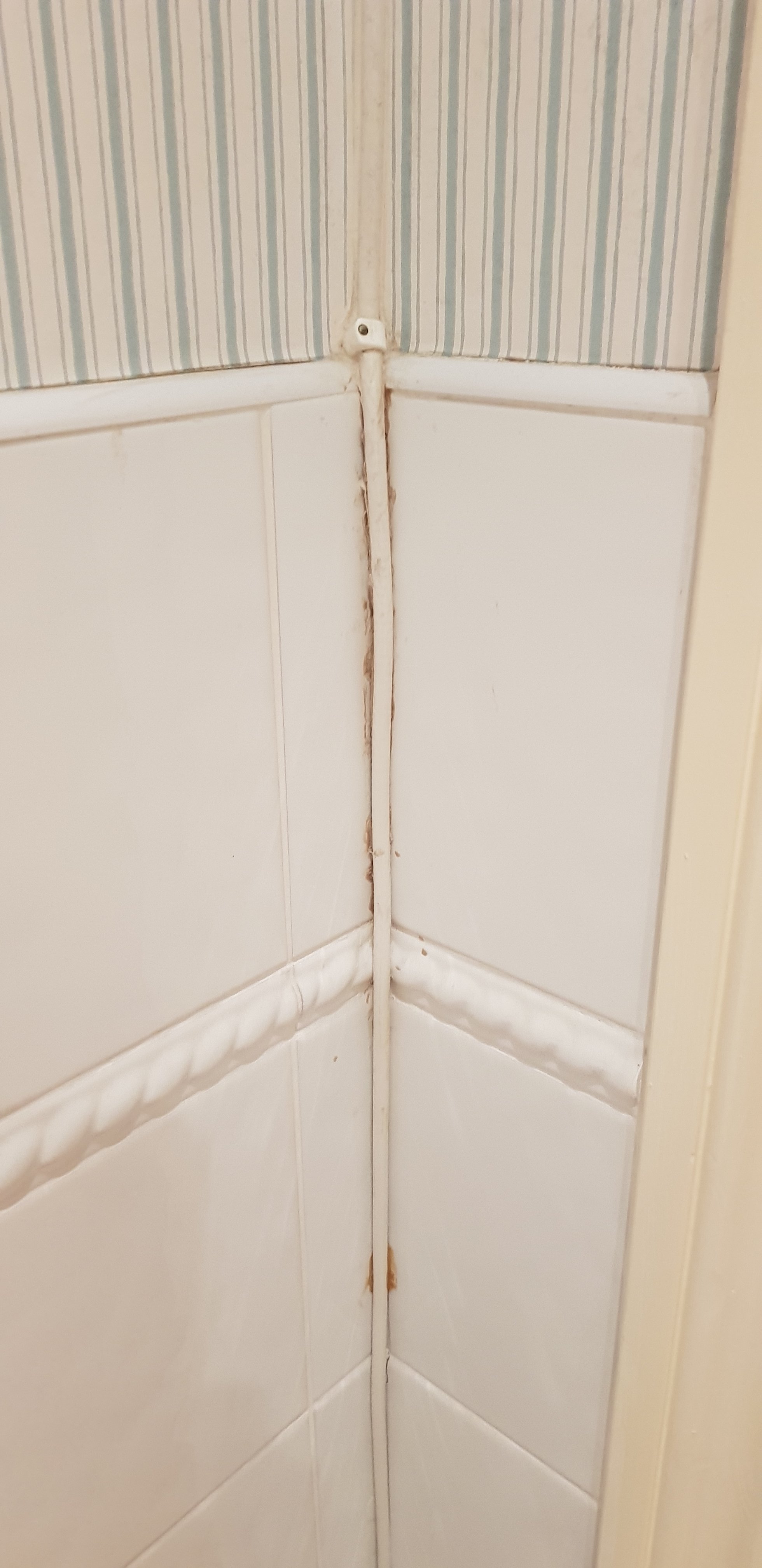 Sawrey Knotts-官方