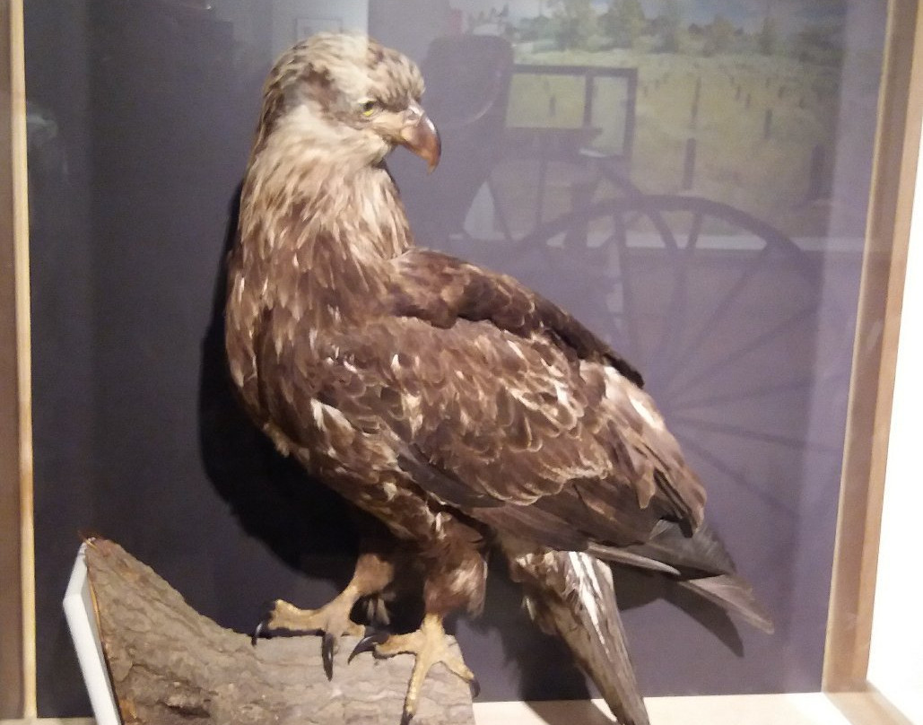 Kamloops Museum and Archives-坎卢普斯必去景点
