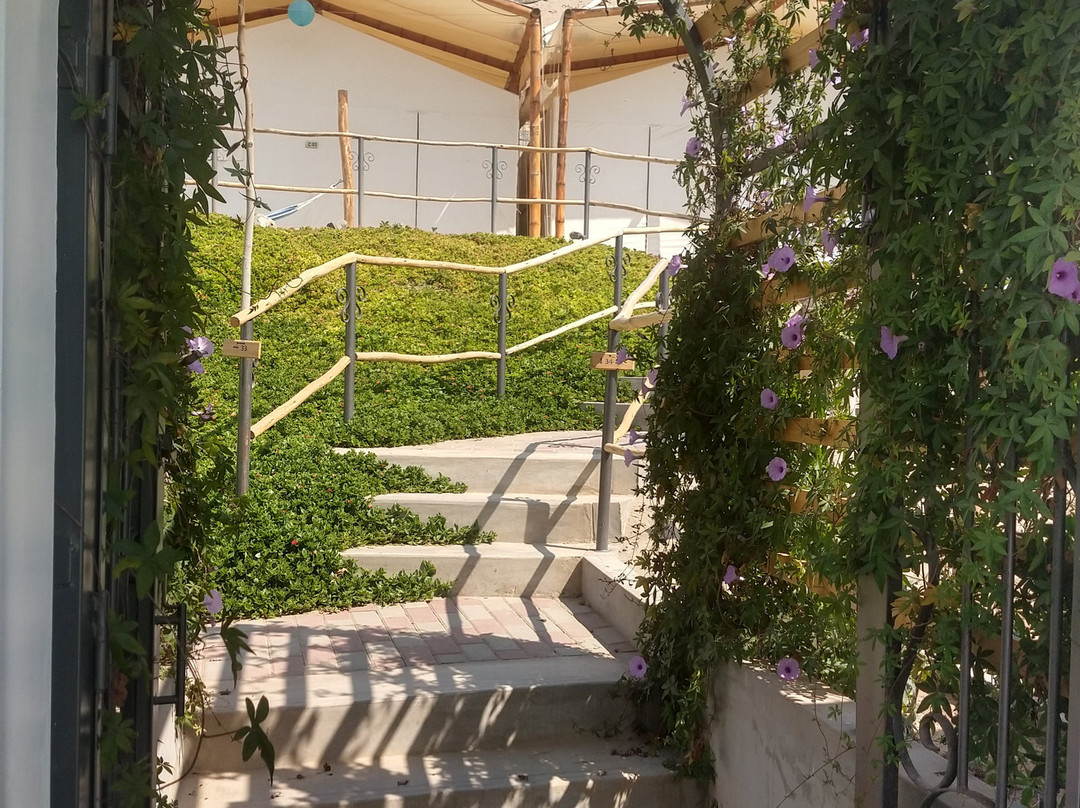 Hotel Villa Jazmin主图