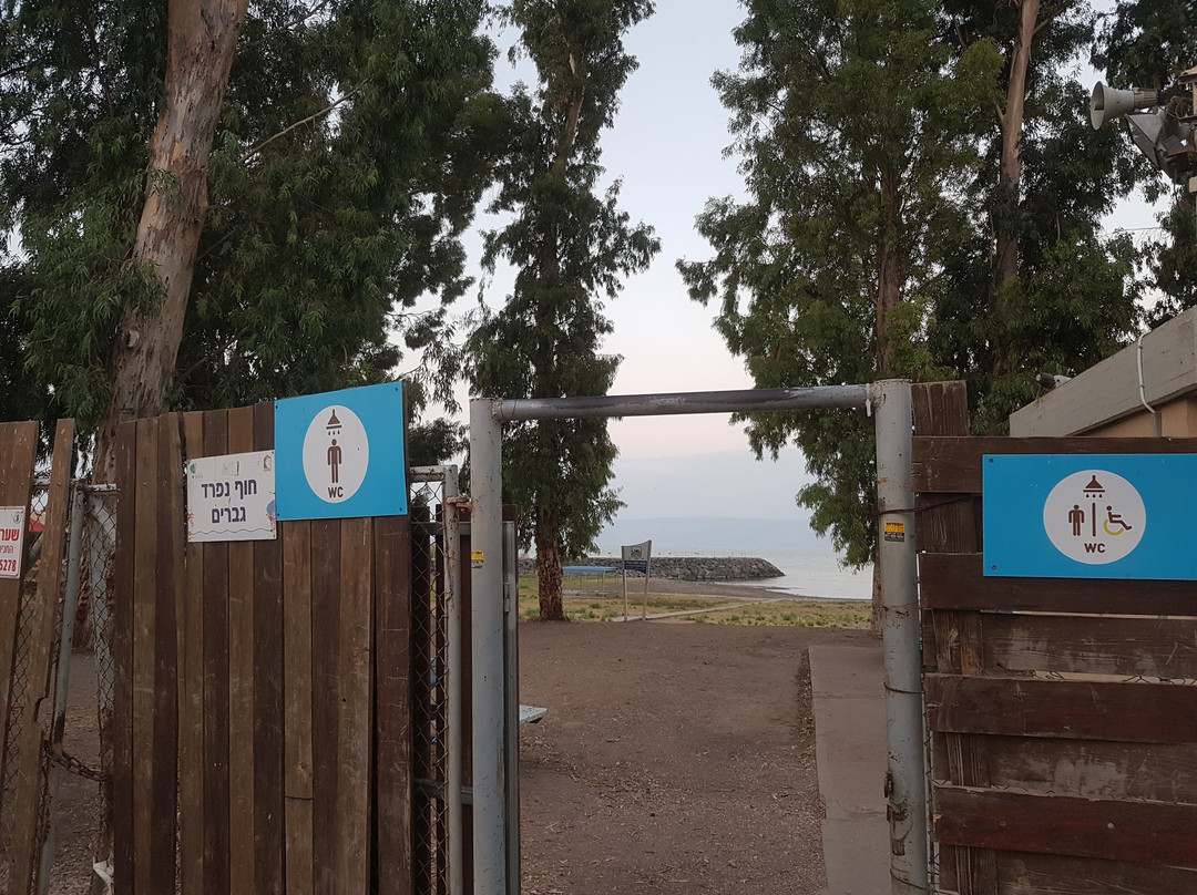 Kinar Galilee Hotel主图