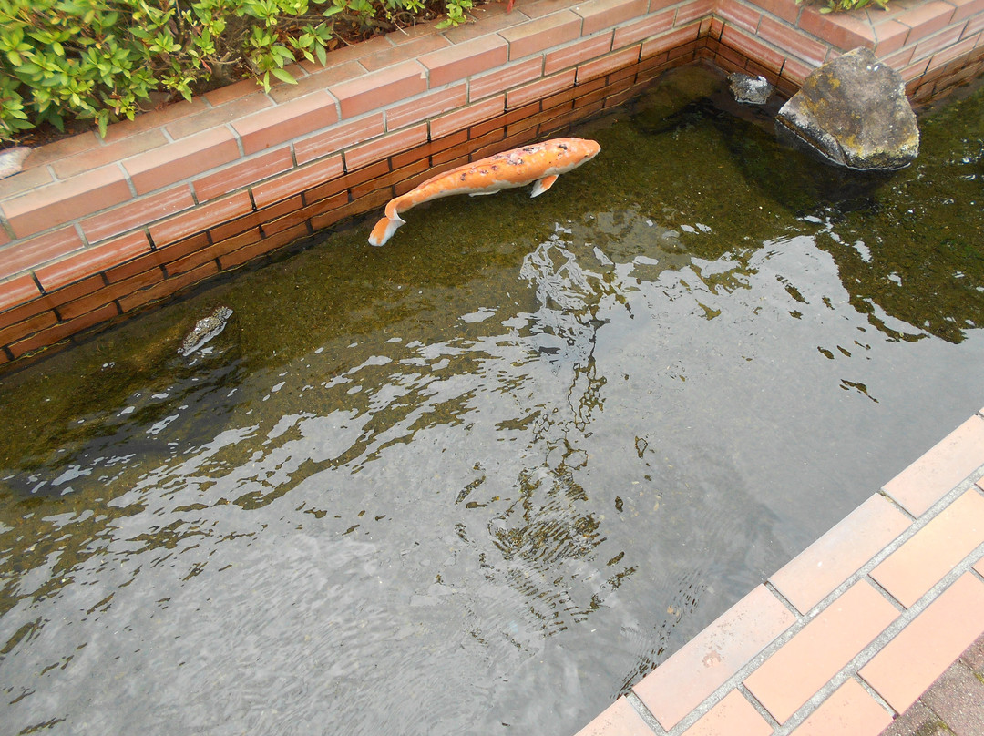 L'adolescence-美里町必去景点