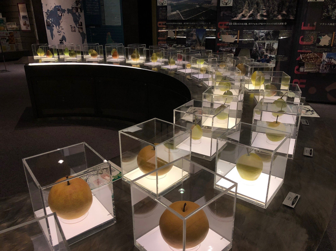 Pear Museum景点图片