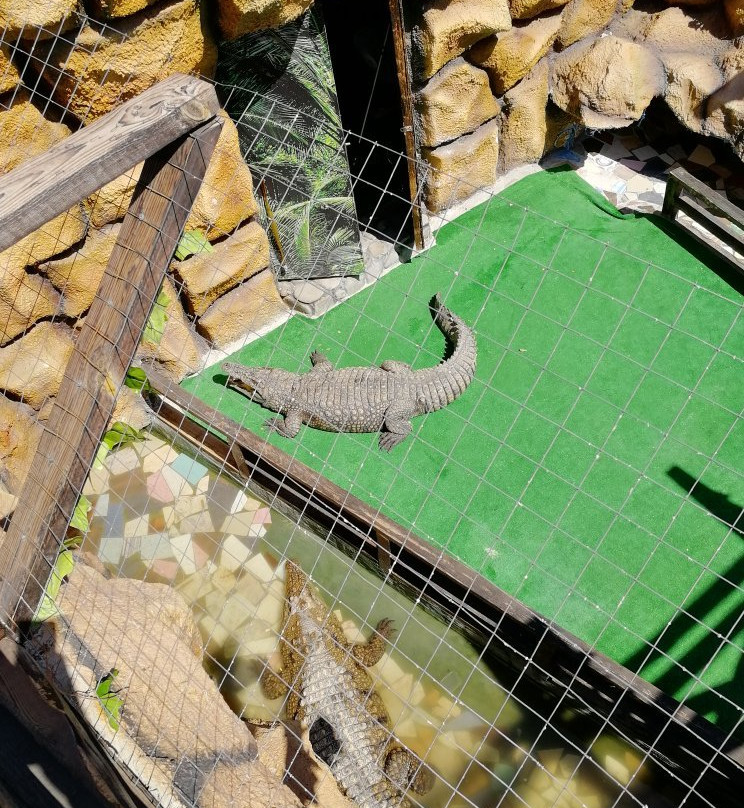 Crocodile Farm-苏达克必去景点