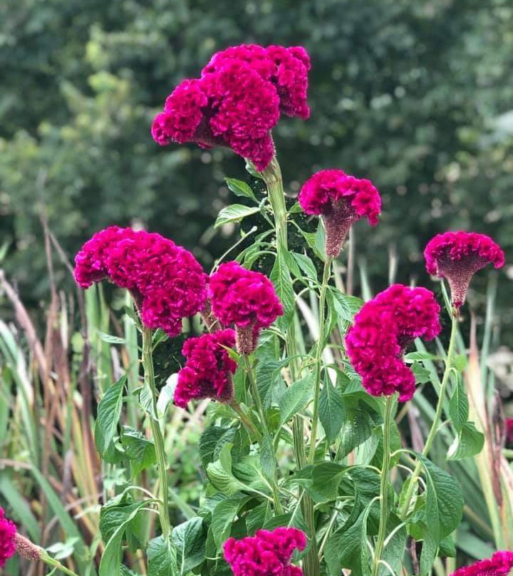 River's Edge Resort主图