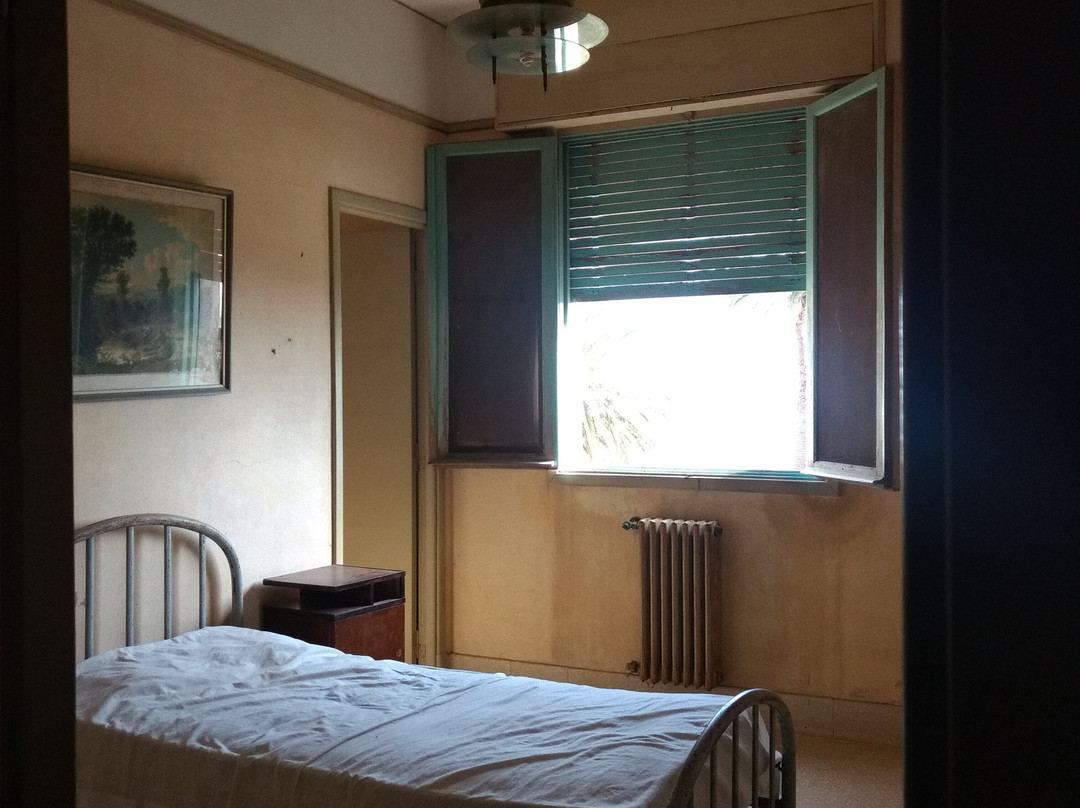 Museo Hotel Viena景点图片