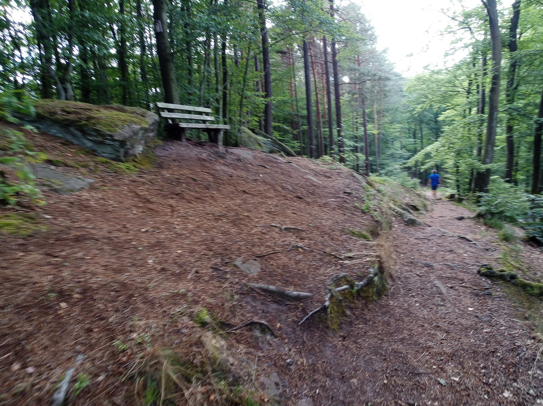 Palzer Weltachs-Hochspeyer必去景点