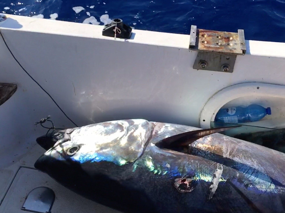 Tuna Fishing Charter-法维格纳纳必去景点