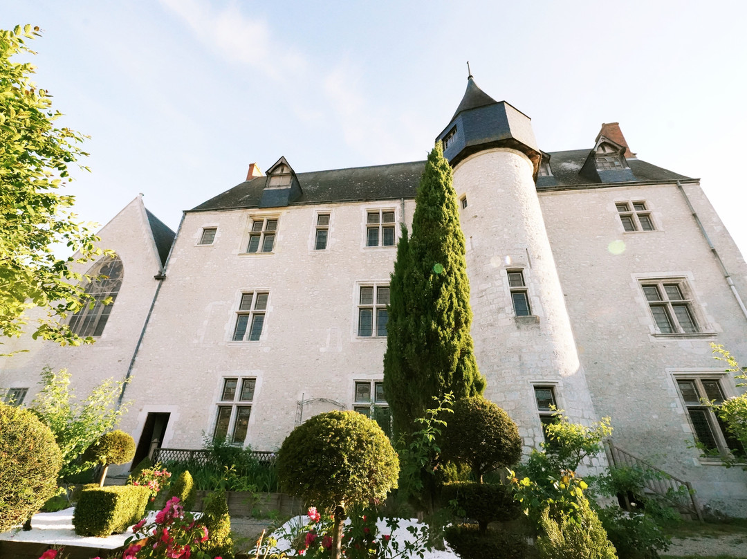 Château de Beaugency景点图片